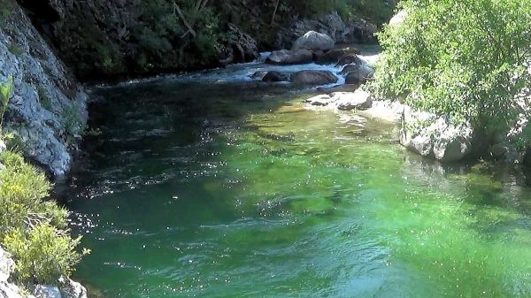 Pêcher en Corse