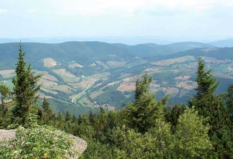 Col de la Schlucht dans les Vosges