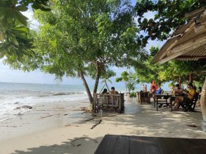 Plage isolée à Koh Phangan, bordée de végétation tropicale