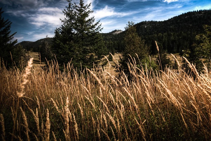 Vercors sauvage