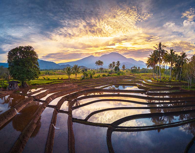 Paysage à Bali