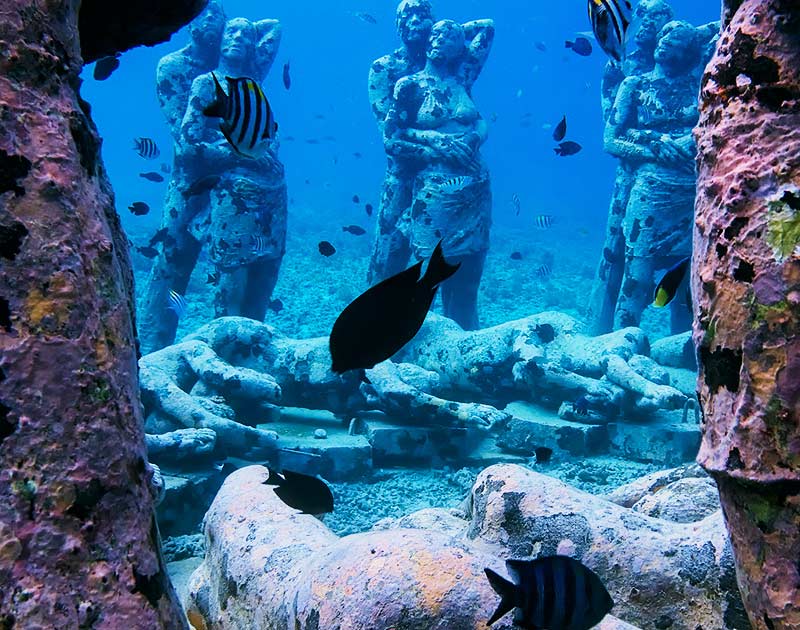 Snorkeling et découverte des fonds marins des iles Gili