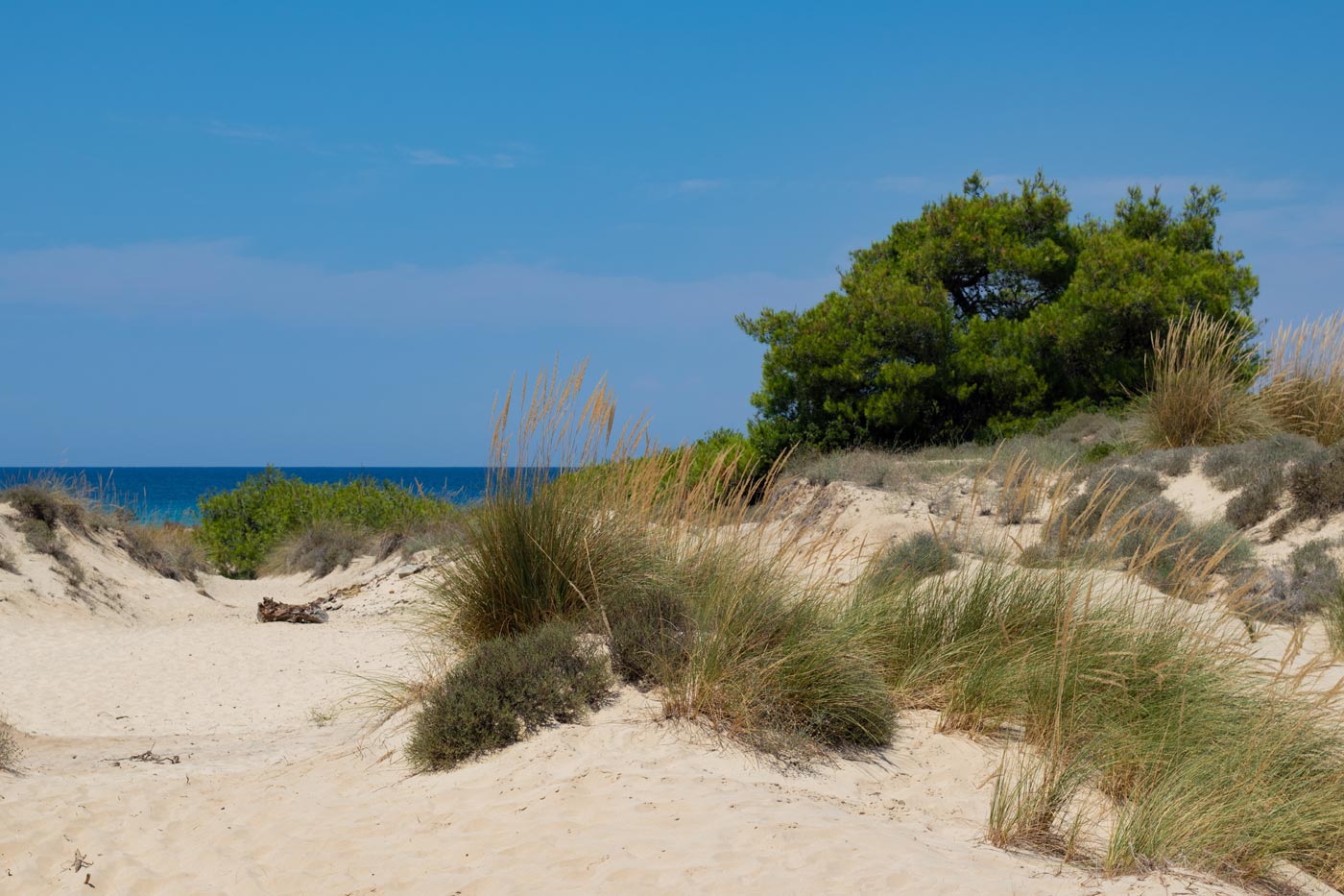 Plage naturiste Île de Ré