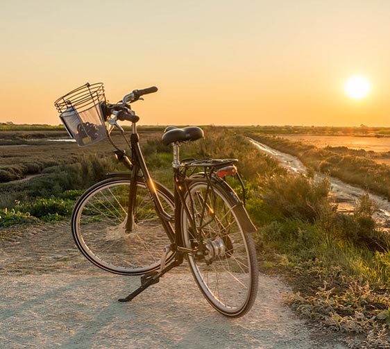 Vélo sur l'Île-de-Ré