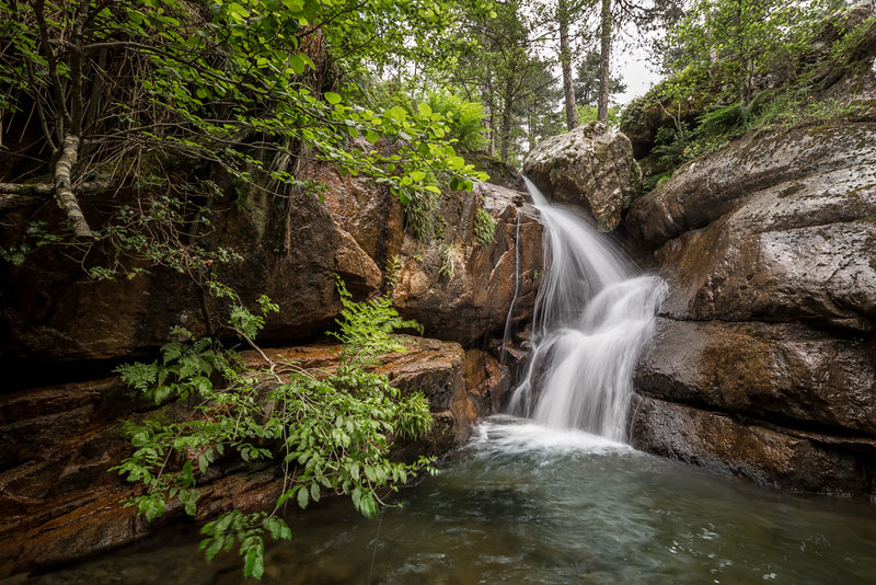 Cascade de forêt Forêt d'Aïtone - Corse