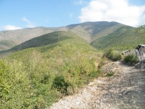 Routes fédérales 101 & 97 – Tamaulipas