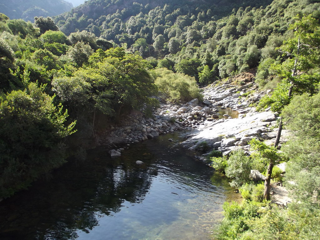 Ponte Vecchiu