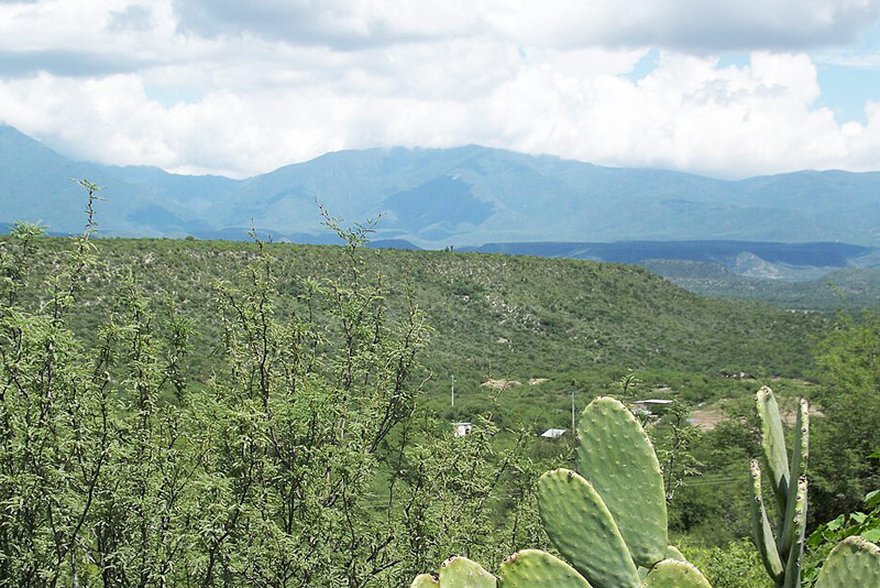 Une vue panoramique sur la Sierra Madre Orientale © Wikimedia Commons