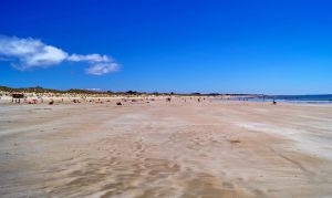 Bois-Plage-en-Ré