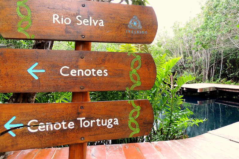 Cenote Tortuga