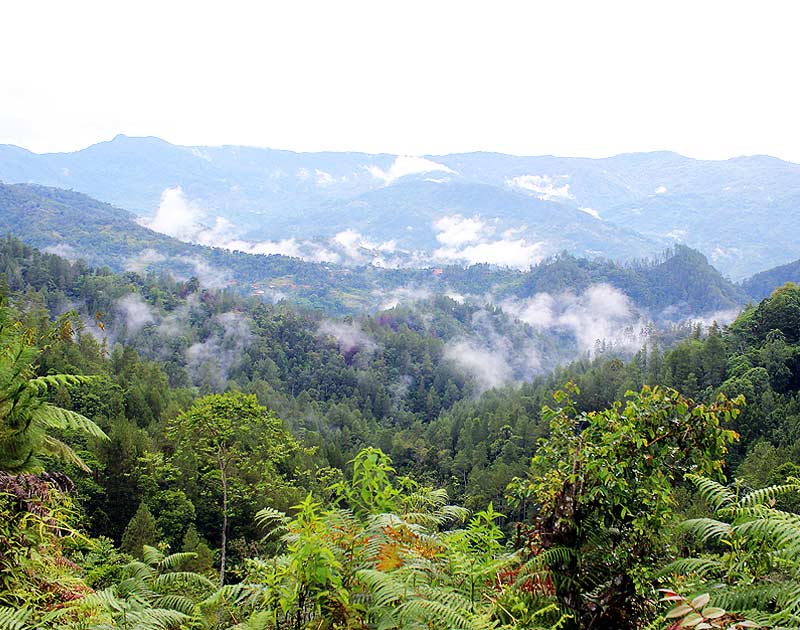 Parc national de Kerinci Seblat
