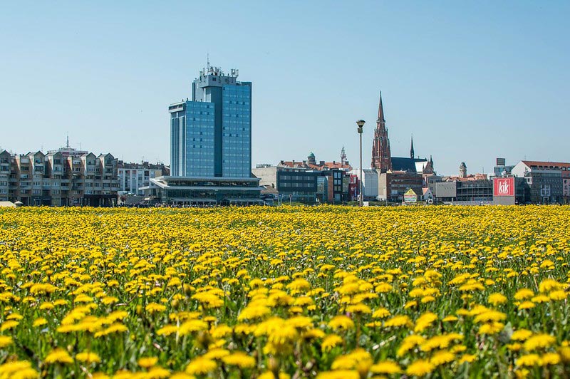 Osijek