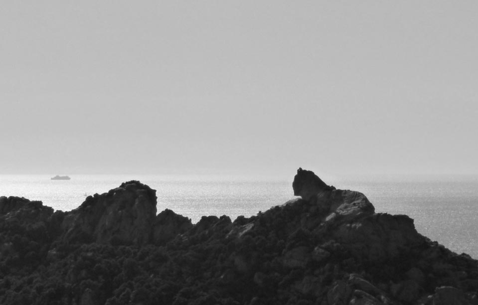 Le lion de Roccapina
