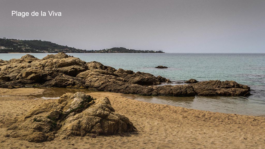 Plage de La Viva