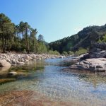 Piscine naturelle de Solenzara en Corse